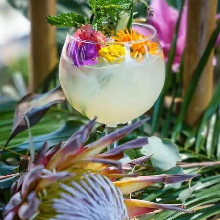 Hanza Tower Bohemia 23 Pool & Jacussi & Sauna Στσέτσιν